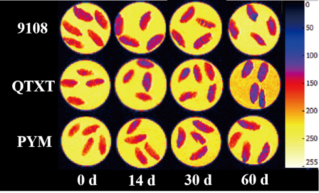 “MK体育(中国)官方网站杯”江南大学优秀案例解析|不同冷冻储藏期速冻米饭水分分布变化规律探究